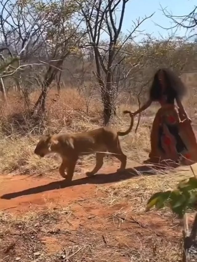 Women out on a walk With 6 LIONESS, watch